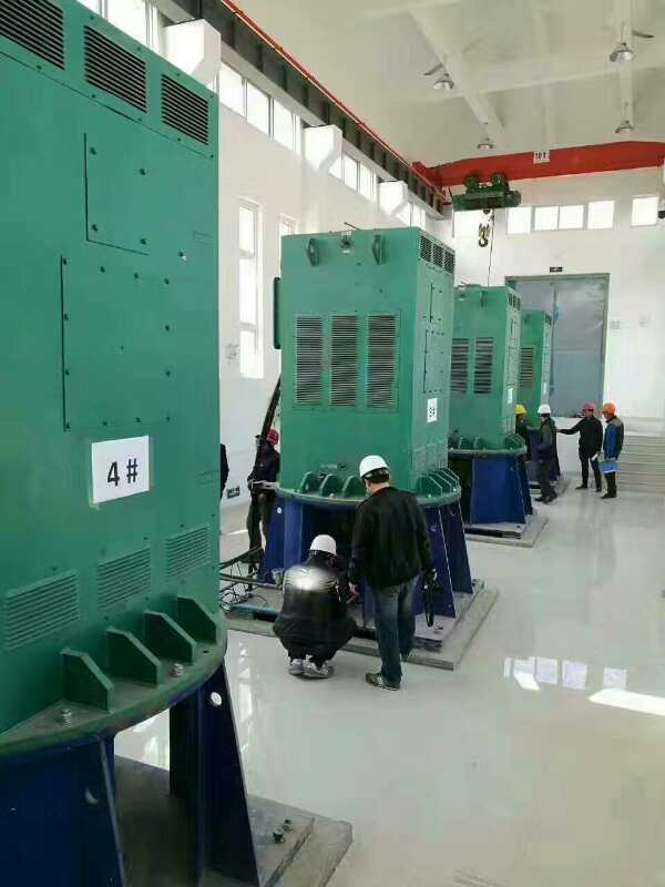 兴宾某污水处理厂使用我厂的立式高压电机安装现场哪里有卖